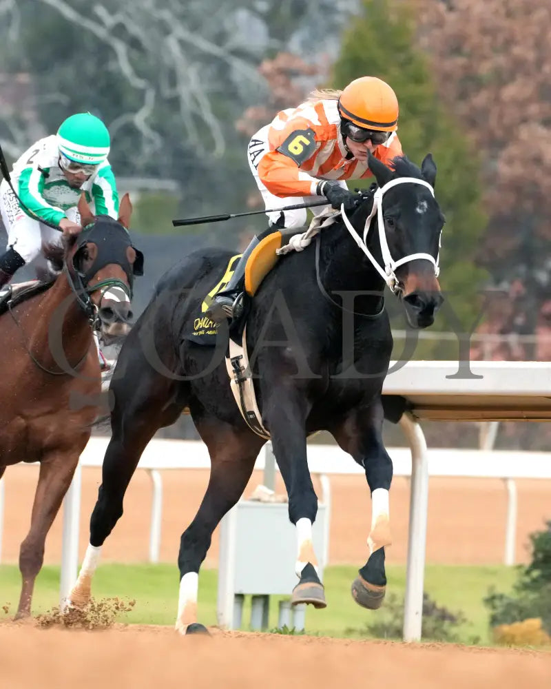GRACE IS FREE - Mockingbird Stakes - 01-04-26 - R09 - Oaklawn Park - Turn 02 - Coady Media - Kurtis Coady Photography