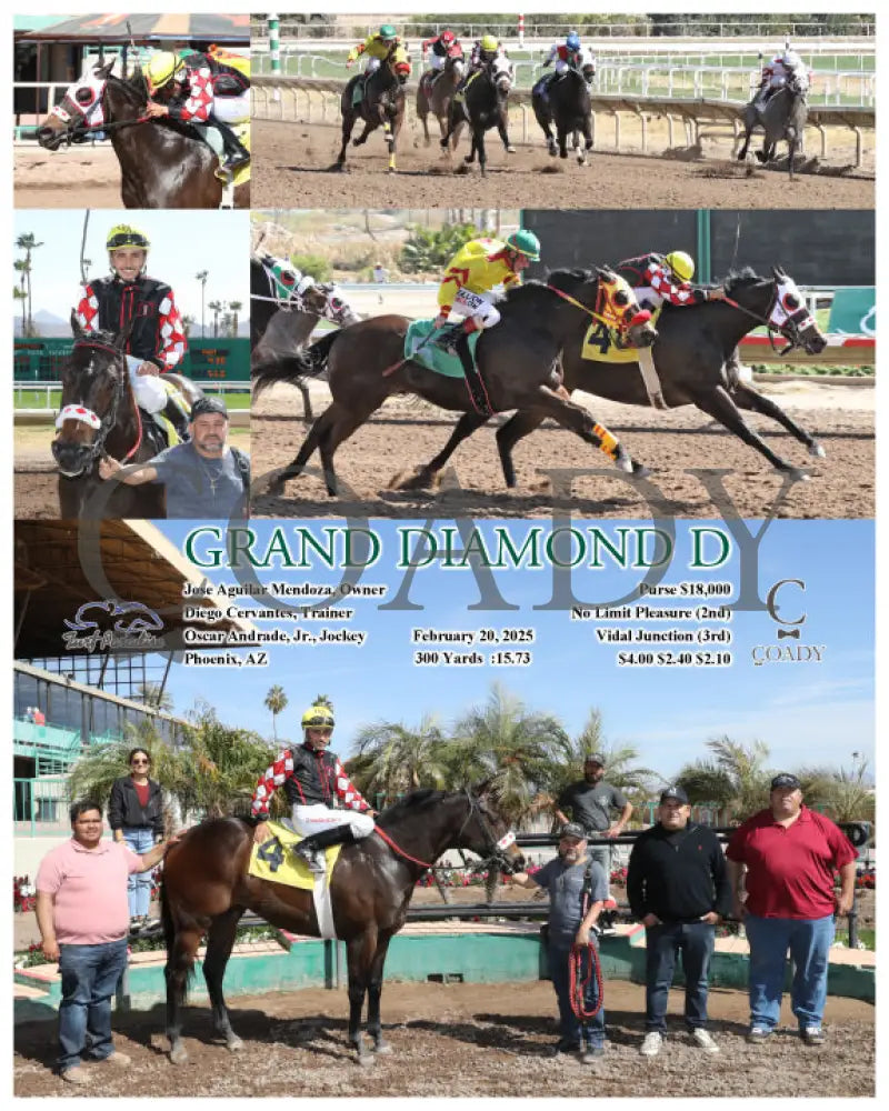 GRAND DIAMOND D - 02-20-25 - R01 - TUP Turf Paradise