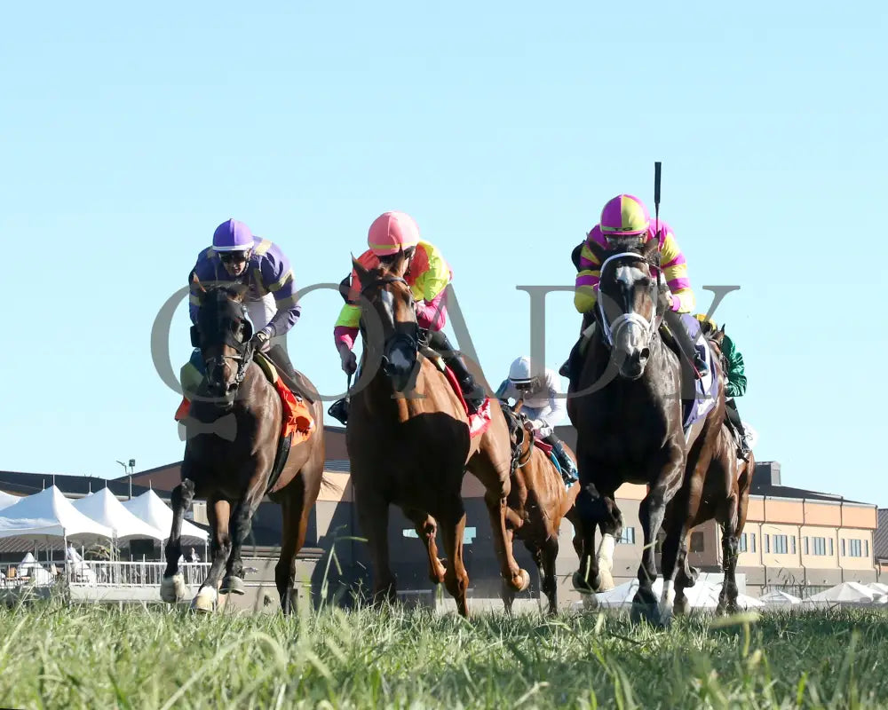 Grand Sonata - The Fanduel Tv Kentucky Turf Cup G1 09-07-24 R10 Kd Under Rail 02 Downs
