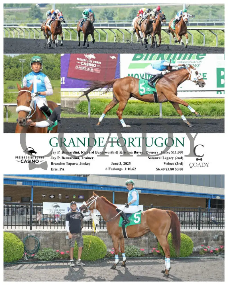 GRANDE TORTUGON - 06-03-25 - R03 - PID Presque Isle Downs