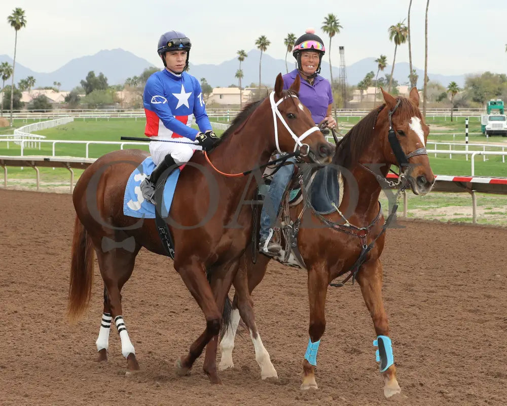 Grease Missle - Princess Of Palms Stakes 02-26-24 R03 Turf Paradise Post Parade
