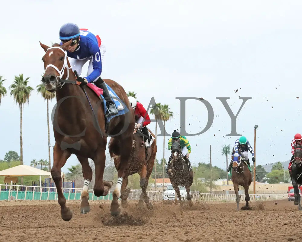 Grease Missle - Princess Of Palms Stakes 02-26-24 R03 Turf Paradise Under Rail