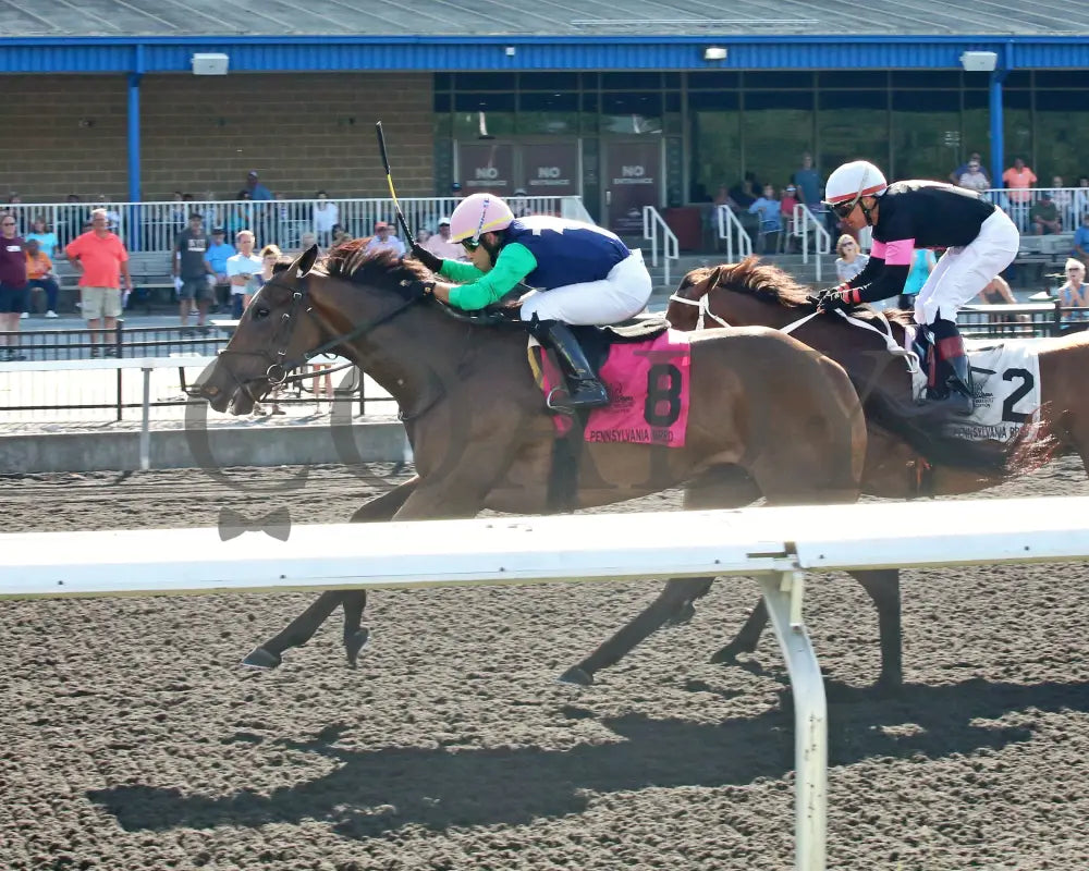 Greavette - The Malvern Rose Stakes 18Th Running 07-08-24 R07 Pid Inside Finish Presque Isle Downs