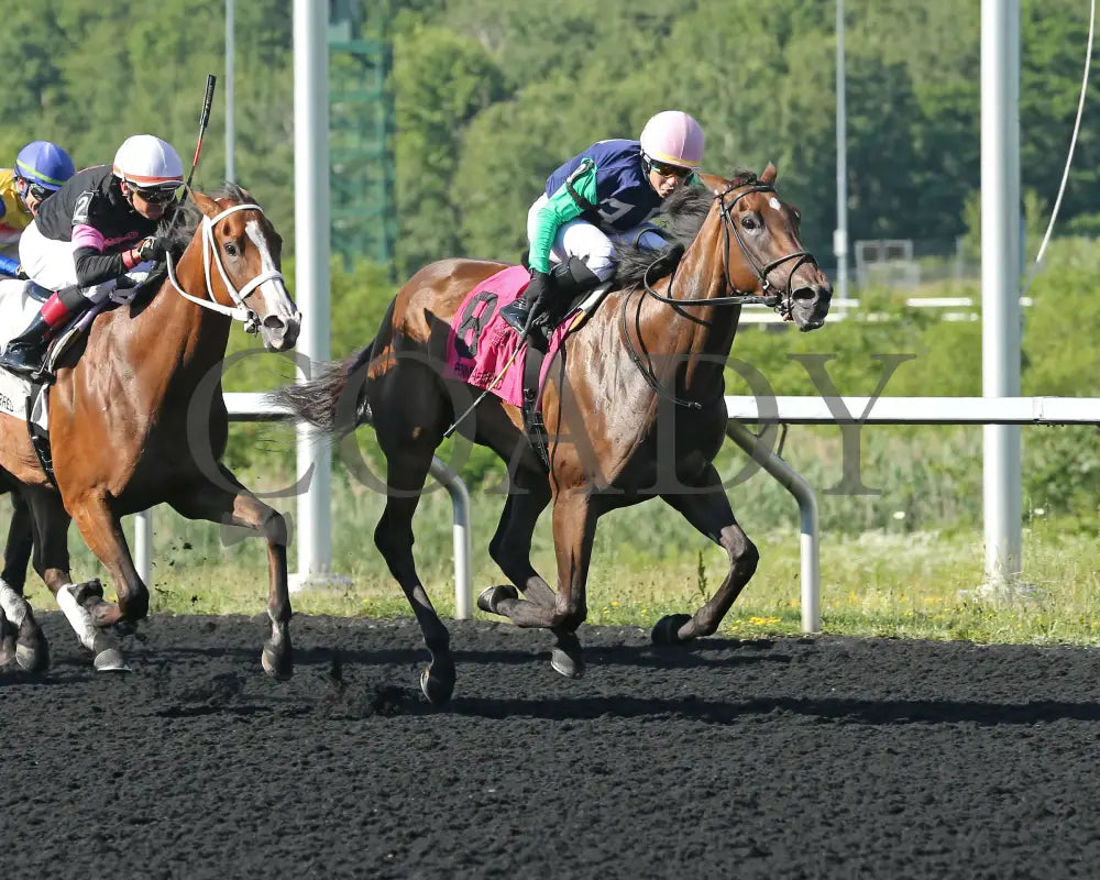 Greavette - The Malvern Rose Stakes 18Th Running 07-08-24 R07 Pid Tight Finish Presque Isle Downs