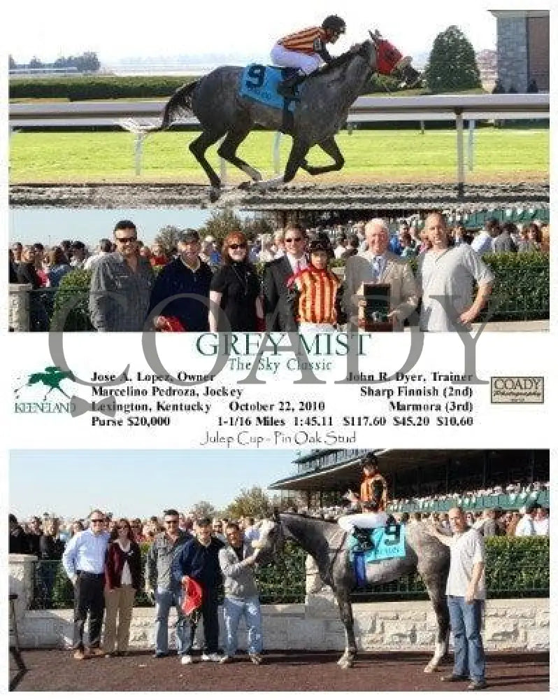 Grey Mist - 102210 Keeneland