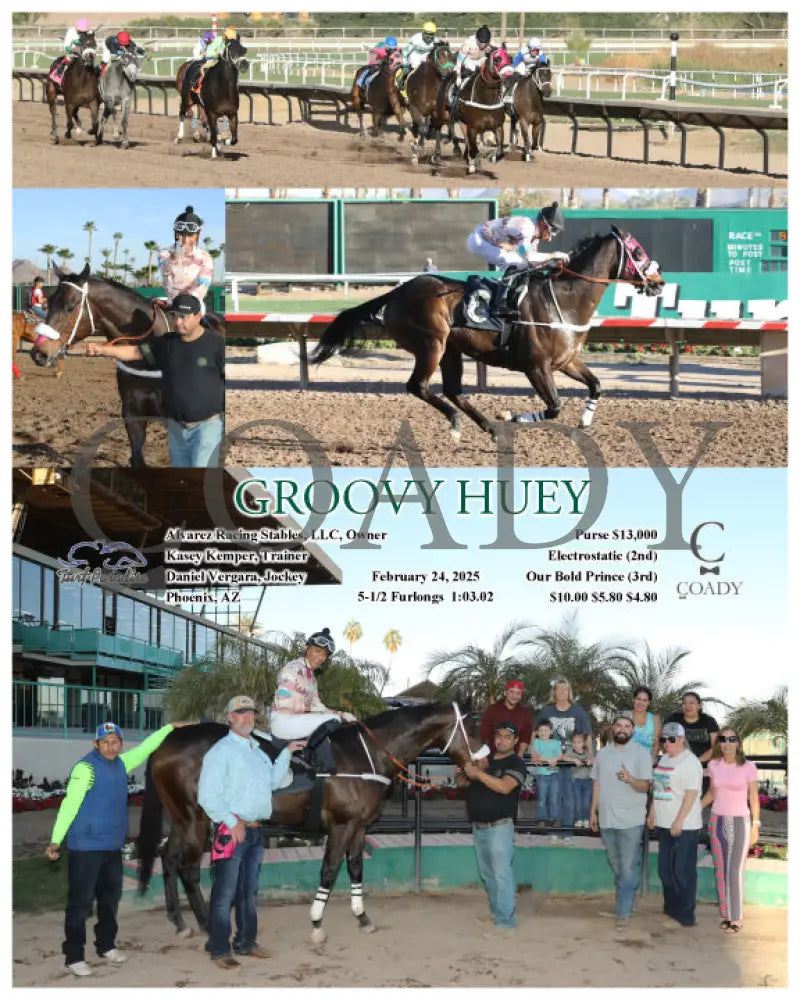 GROOVY HUEY - 02-24-25 - R09 - TUP Turf Paradise