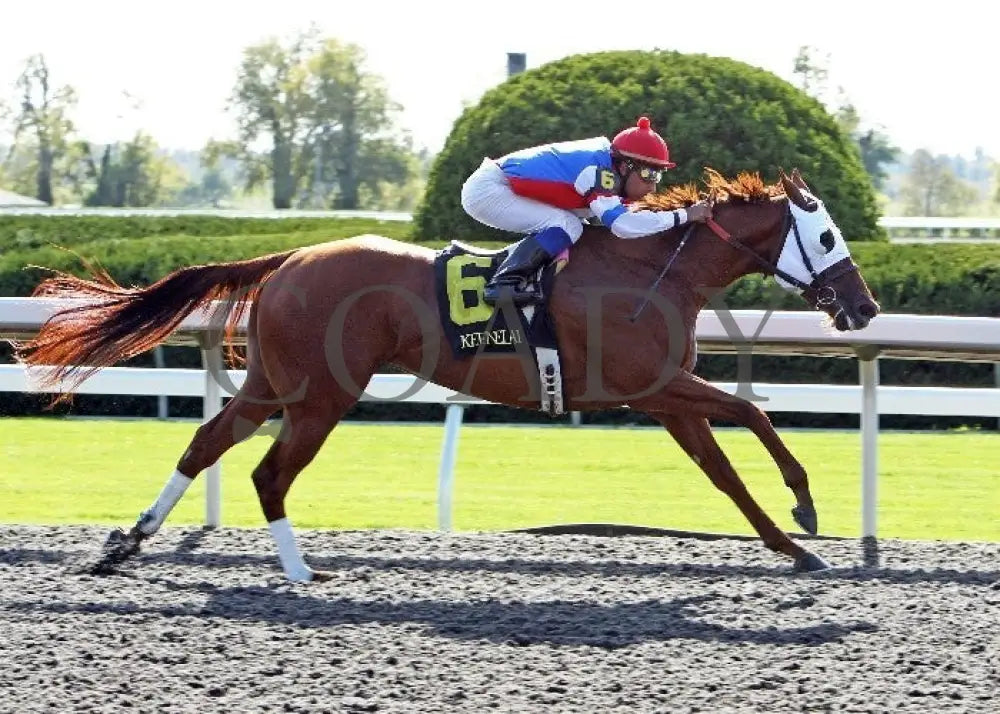 Groupie Doll - 100612 Race 06 Finish Keeneland