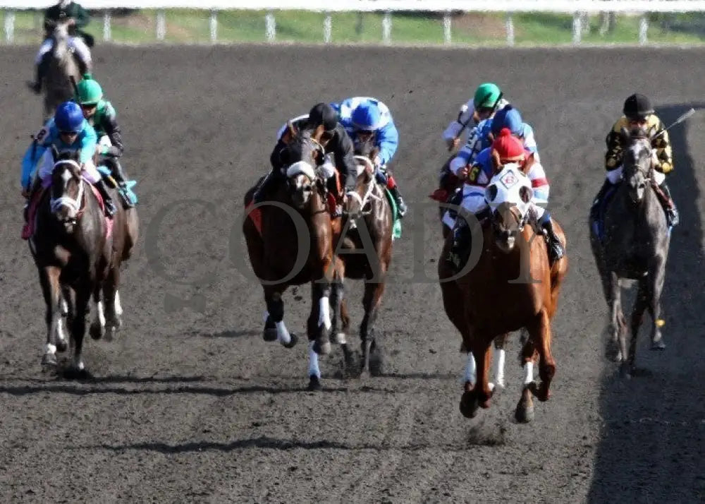 Groupie Doll - 100612 Race 06 Head On Keeneland