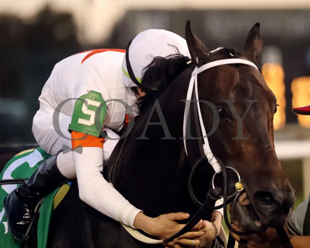 Gulfport - The Bet On Sunshine 16Th Running 11-02-24 R10 Churchill Downs Come Back 01
