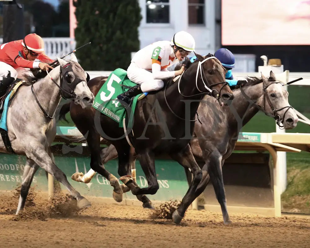 Gulfport - The Bet On Sunshine 16Th Running 11-02-24 R10 Churchill Downs Finish 02