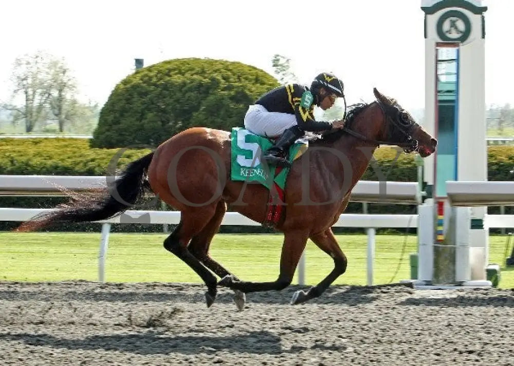 Gypsy Robin - 041512 Race 08 Fin Keeneland