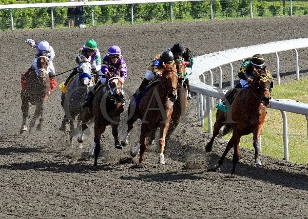 Gypsy Robin - 041512 Race 08 Turn Keeneland