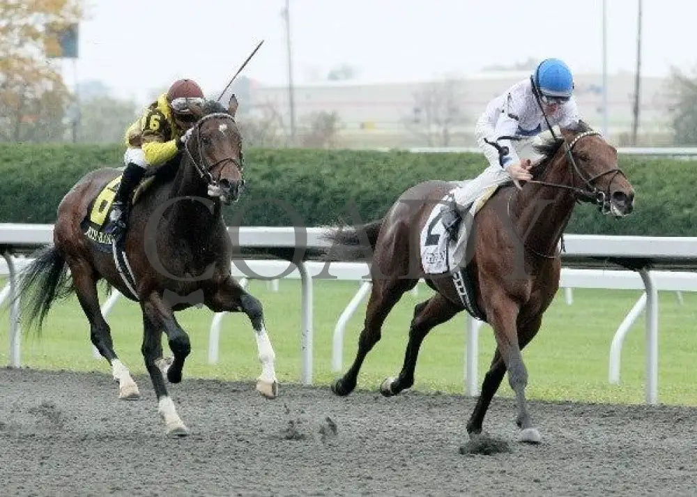 Hammers Terror - 2 102011 Race 05 Keeneland