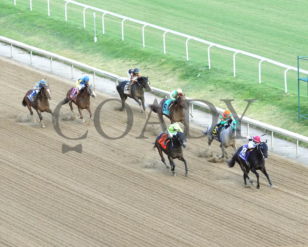 Happy Is A Choice - 091424 Race 09 Cd The Louisville Thoroughbred Society Aerial Up Track 01
