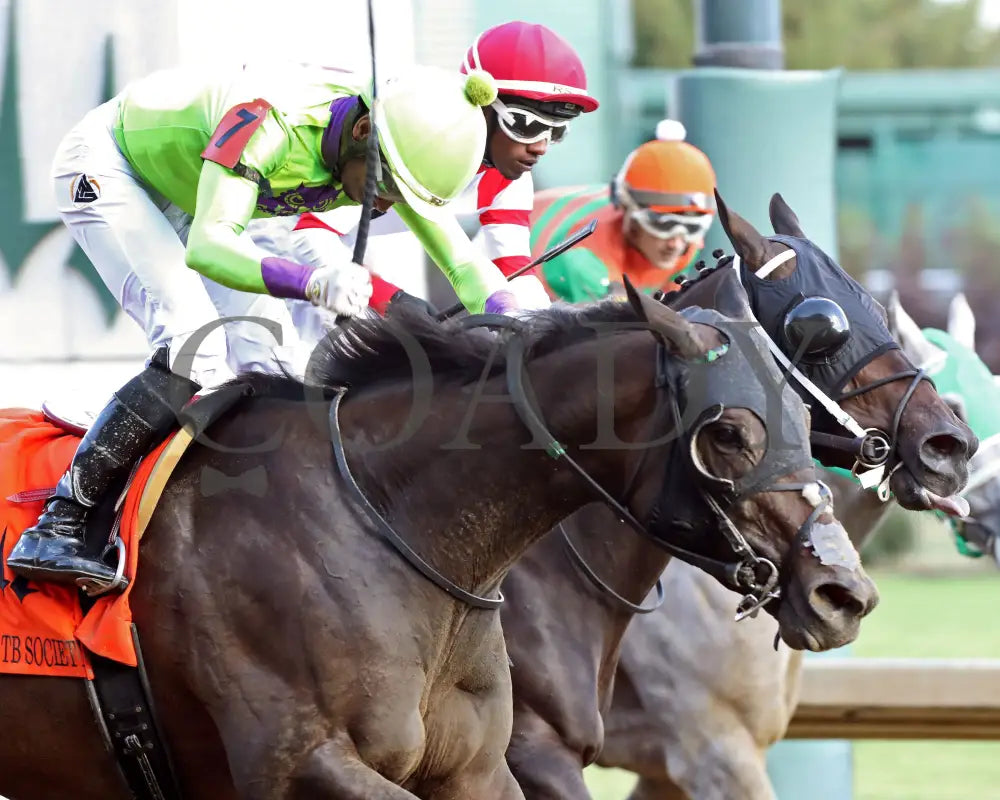 Happy Is A Choice - 091424 Race 09 Cd The Louisville Thoroughbred Society Finish 02 Churchill Downs