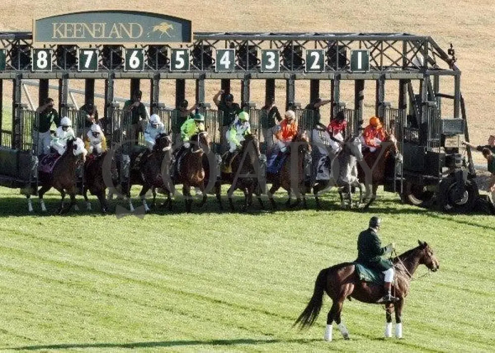 Harmonious - Queen Elizabeth Ii Challenge Cup Keeneland