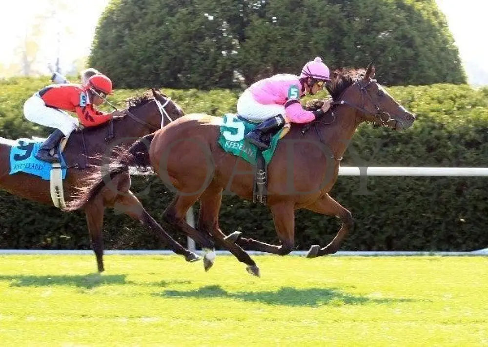 Havelock - Finish 100811 Race 05 Keeneland