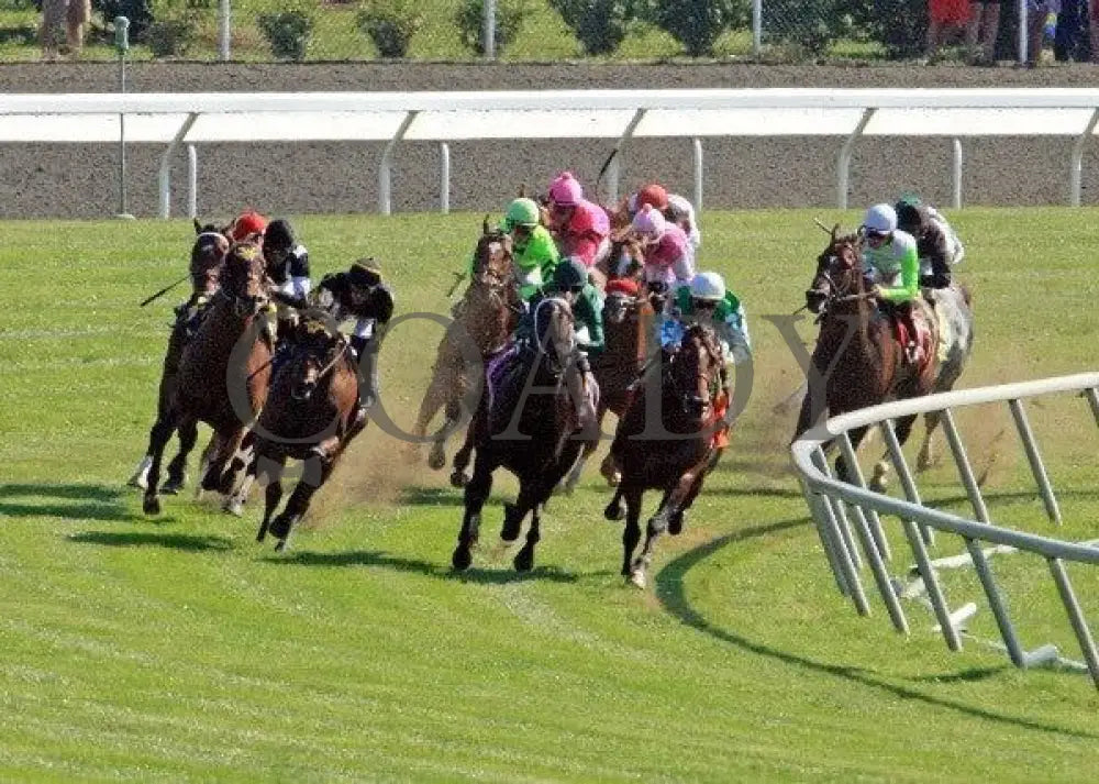 Havelock - Turn 2 100811 Race 05 Keeneland