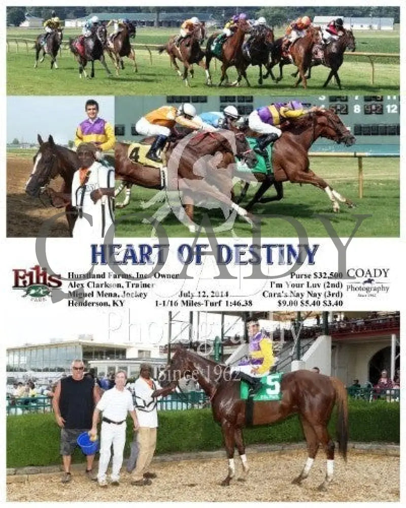 Heart Of Destiny - 071214 Race 08 Elp Ellis Park