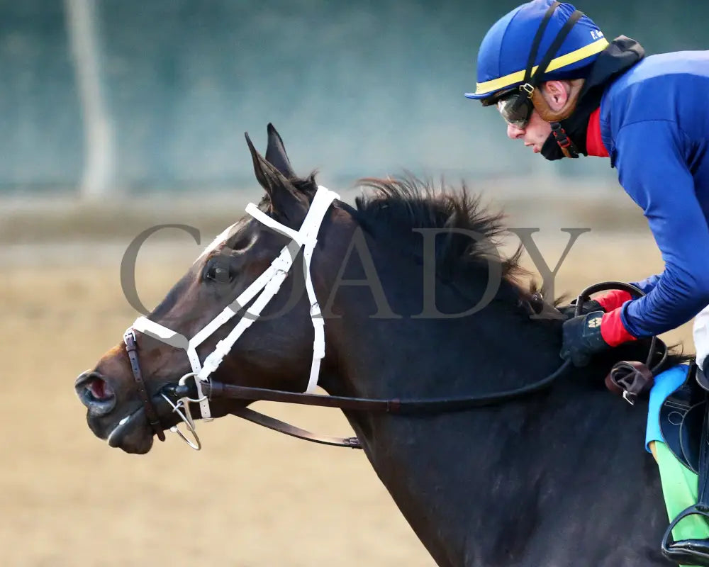 Heavenly Sunday - The Mrs. Revere G2 32Nd Running 11-24-23 R10 Cd Gallop Out 03 Churchill Downs