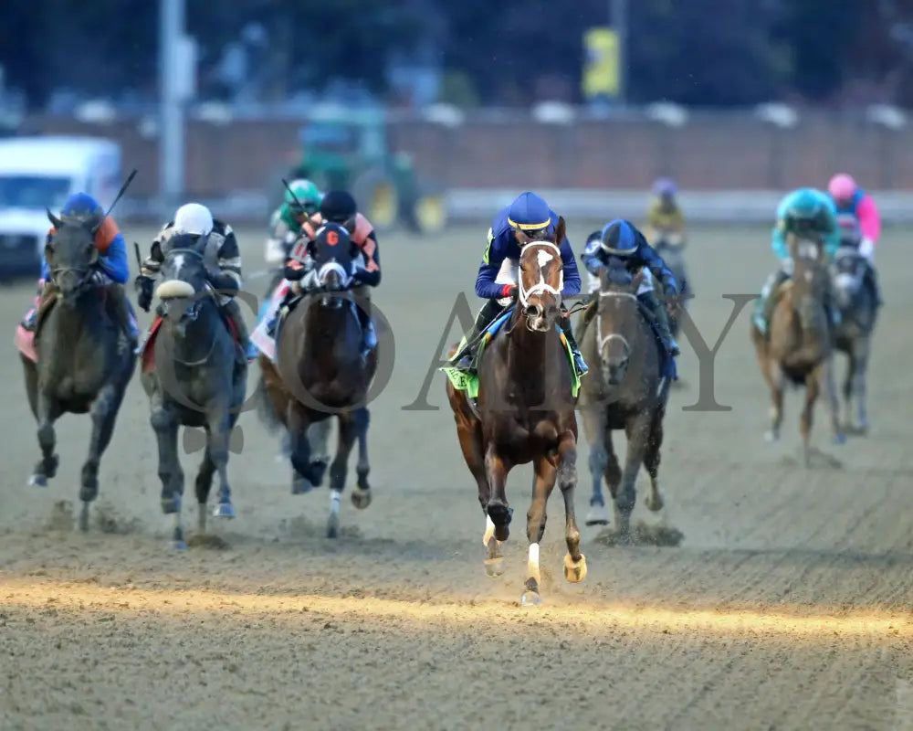 Heavenly Sunday - The Mrs. Revere G2 32Nd Running 11-24-23 R10 Cd Head On 01 Churchill Downs
