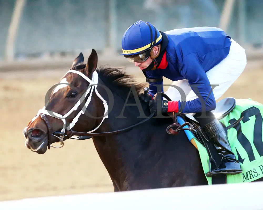 Heavenly Sunday - The Mrs. Revere G2 32Nd Running 11-24-23 R10 Cd Inside Finish 01 Churchill Downs