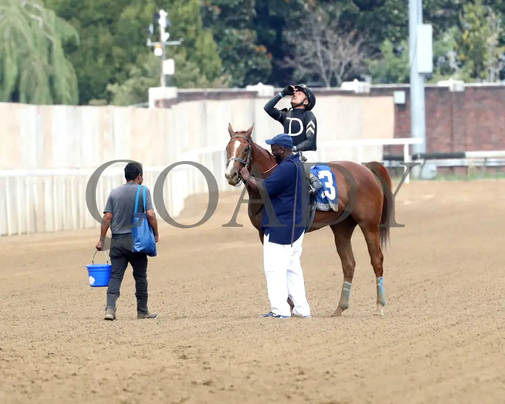 Henro - The Harrods Creek 09-21-24 R09 Cd Come Back 03 Churchill Downs