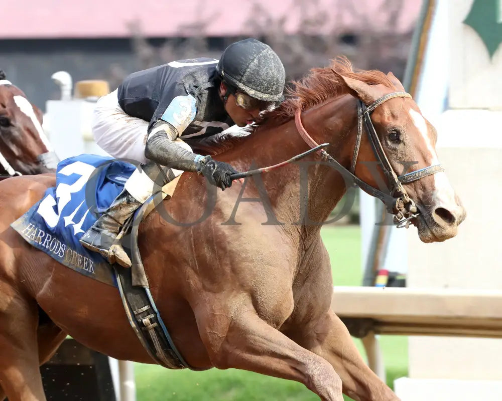Henro - The Harrods Creek 09-21-24 R09 Cd Finish 04 Churchill Downs