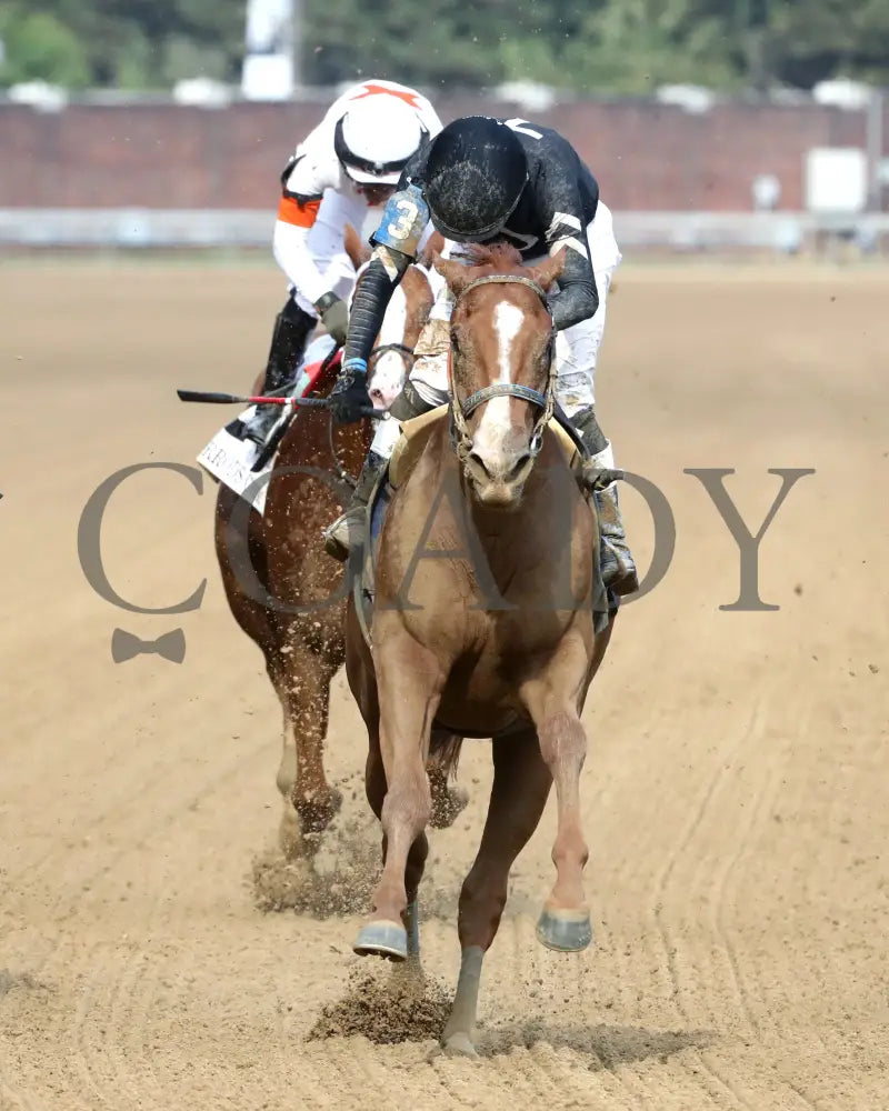Henro - The Harrods Creek 09-21-24 R09 Cd Gallop Out 01 Churchill Downs