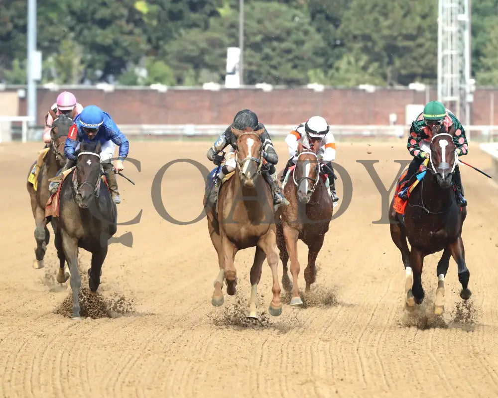 Henro - The Harrods Creek 09-21-24 R09 Cd Head On 01 Churchill Downs