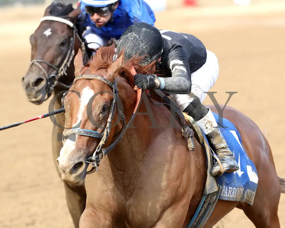 Henro - The Harrods Creek 09-21-24 R09 Cd Inside Finish 01 Churchill Downs