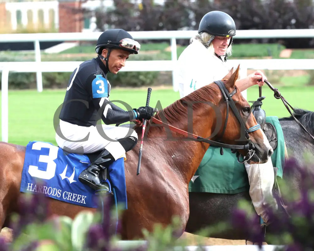 Henro - The Harrods Creek 09-21-24 R09 Cd Post Parade 01 Churchill Downs