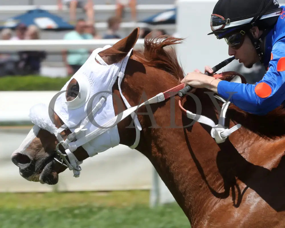 Henry Mac - Sydney Gendelman Stakes 06-07-24 R05 Btp Inside Finish 02 Belterra Park