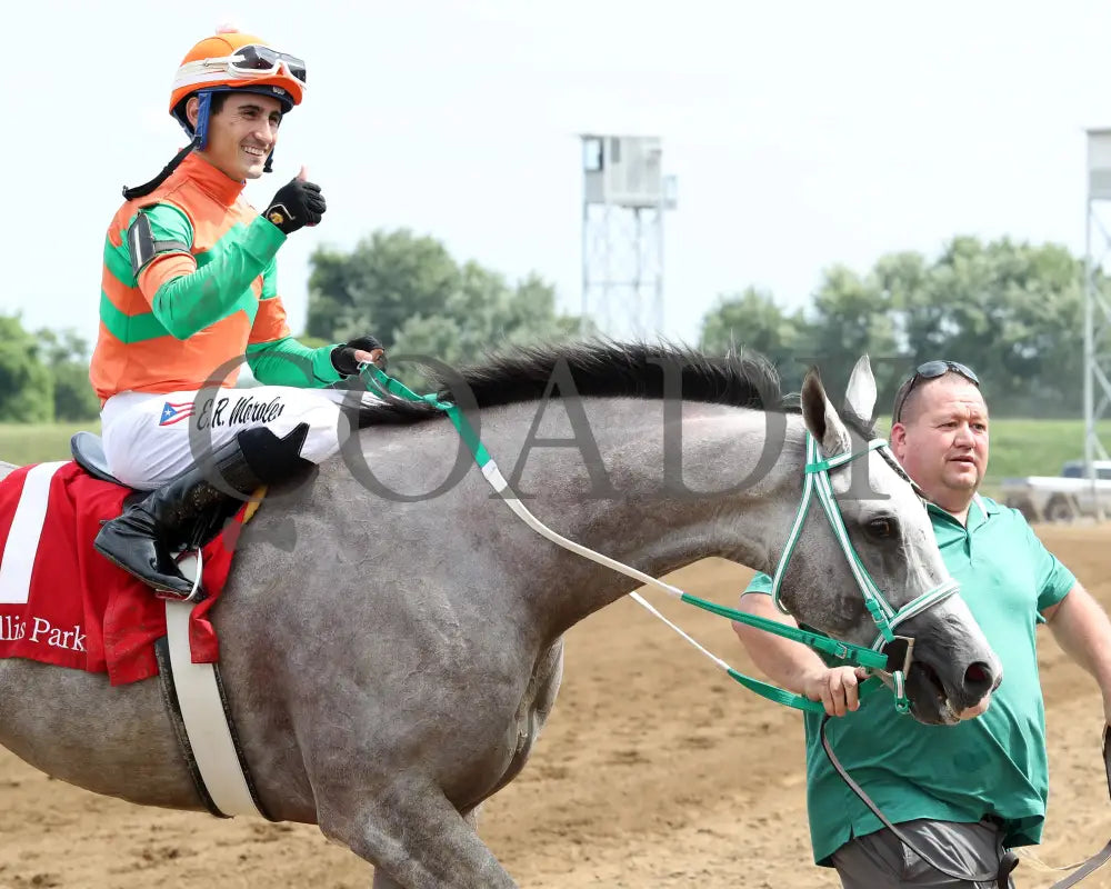 Here Mi Song - The Jeff Hall Memorial Stakes 07-21-24 R08 Elp Come Back 03 Ellis Park