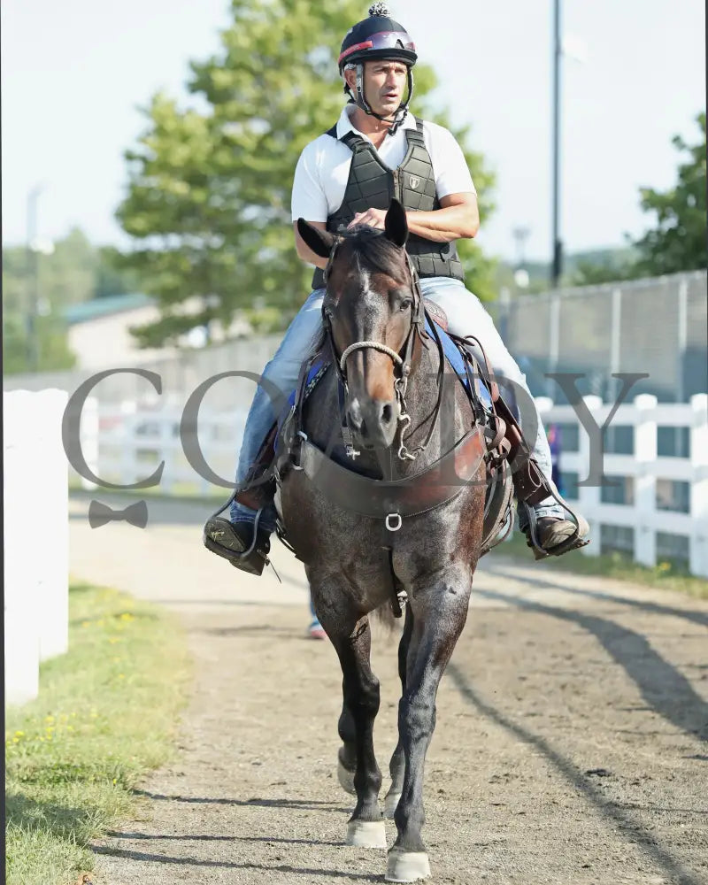 HE’S A MESS - The Hard Spun Stakes - 16th Running - 07-21-25 - R07 - PID - Owner/Trainer - Scooter Davis Presque Isle