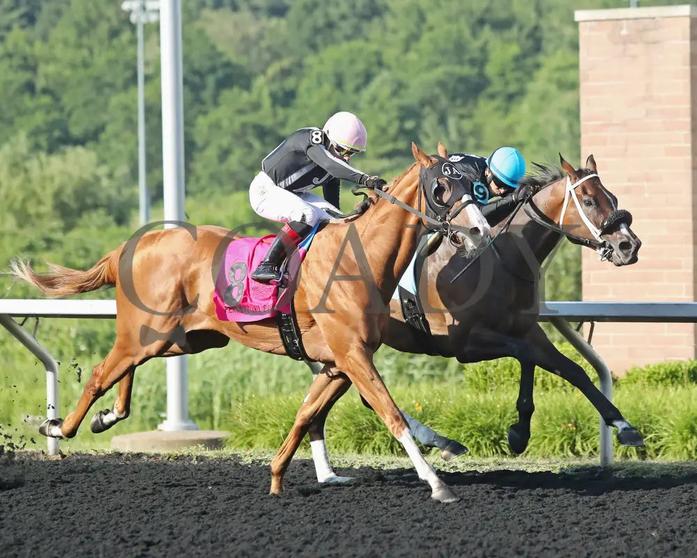 HE’S A MESS - The Hard Spun Stakes - 16th Running - 07-21-25 - R07 - PID - Tight Finish Presque Isle Downs