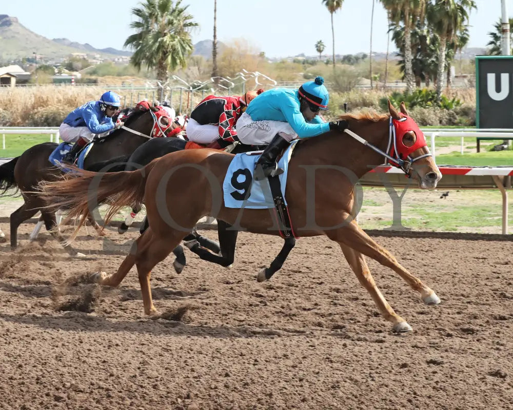 Hes My Sweetheart - Turf Paradise Maiden Stakes 02-21-24 R02 Finish