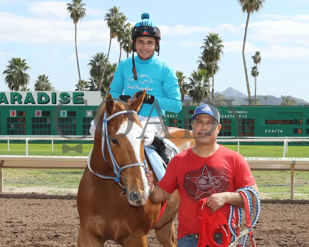 Hes My Sweetheart - Turf Paradise Maiden Stakes 02-21-24 R02 Return Shot 3
