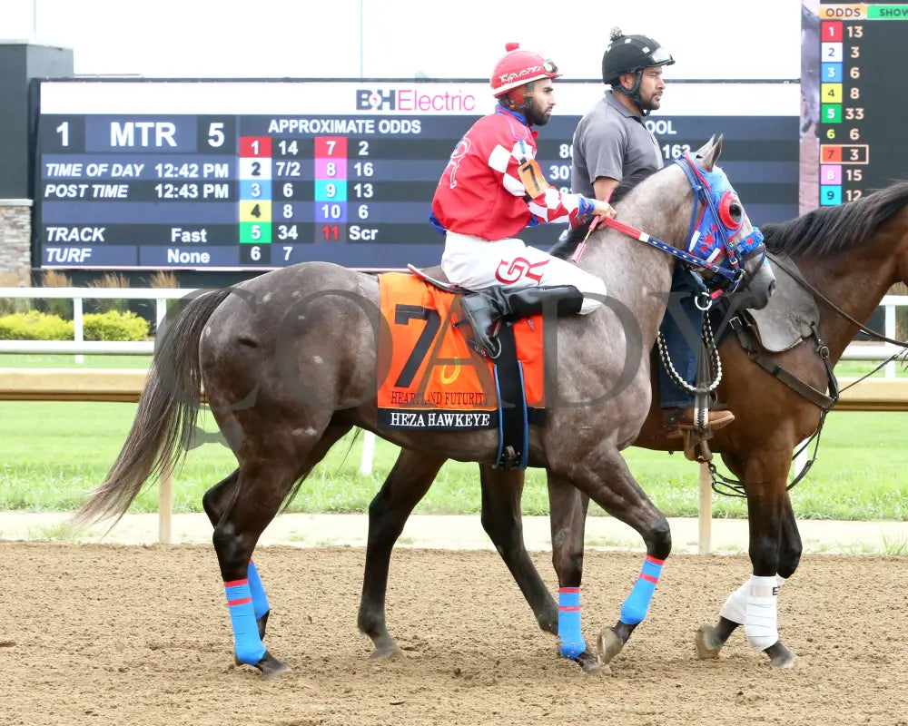 HEZA HAWKEYE - Heartland Futurity Final - 07-19-25 - R05 - Horseshoe Indiana - Post Parade 02 - Sammantha Pagels