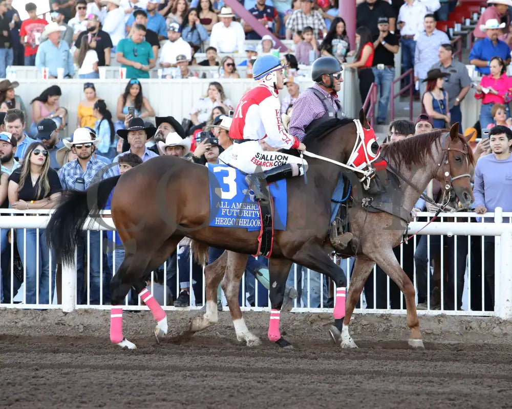 Hezgothelook Z - All American Quarter Horse Futurity 09-02-24 R11 The Downs At Albuquerque Post