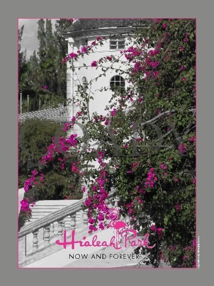 Hialeah Park - 18X24 Print 2012