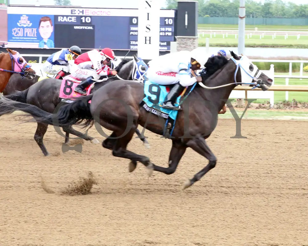 High Rolling Seize - Born Runner Classic 11Th Running 06-01-24 Rrace 13 Horseshoe Indiana Finish 01