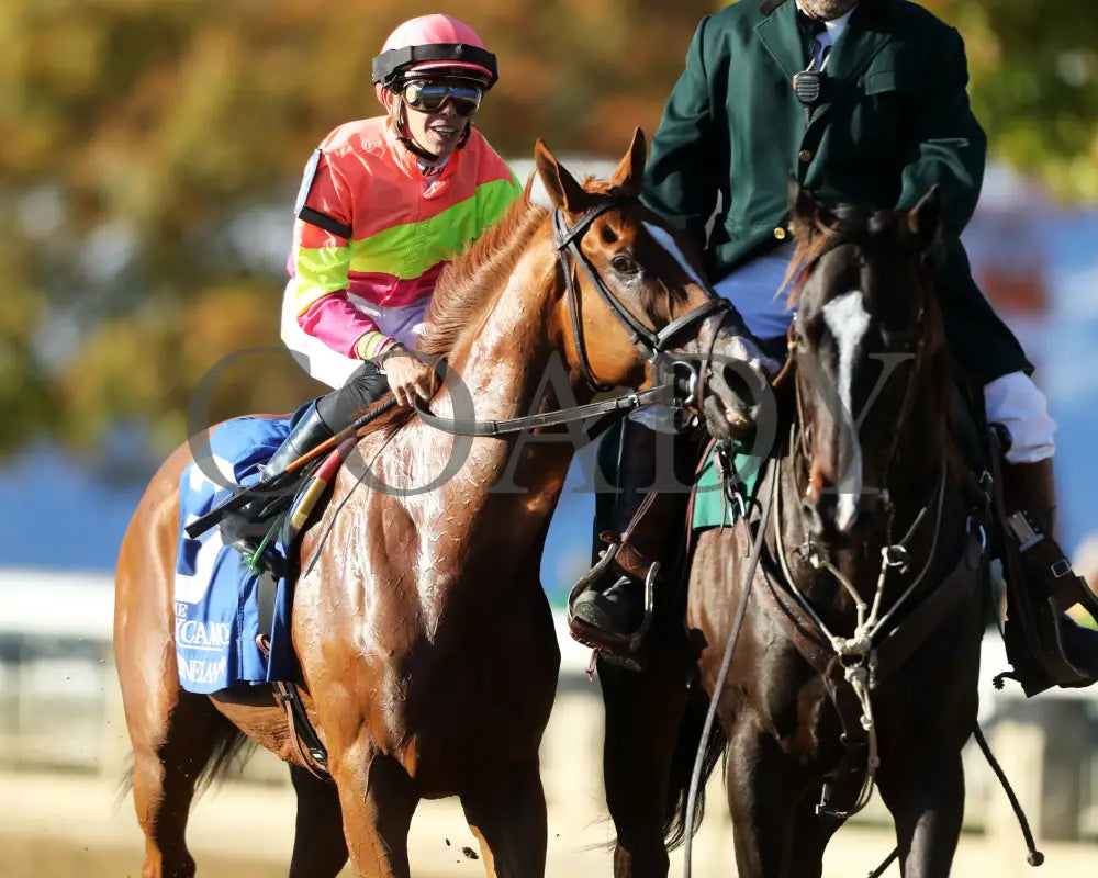Highway Robber - The Sycamore G3 30Th Running 10-11-24 R09 Kee Come Back 01 Keeneland