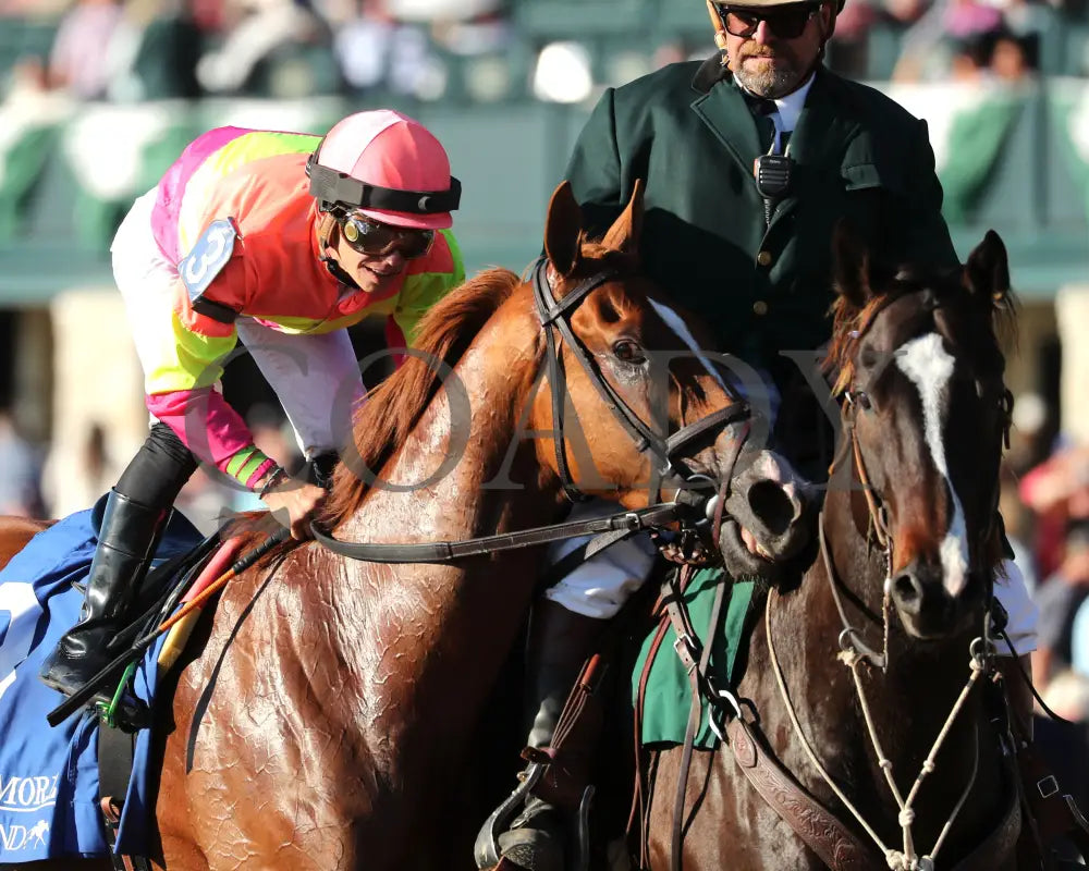 Highway Robber - The Sycamore G3 30Th Running 10-11-24 R09 Kee Come Back 03 Keeneland