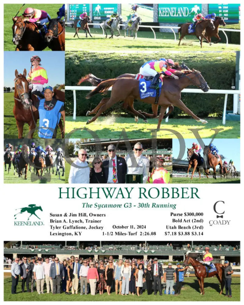 Highway Robber - The Sycamore G3 30Th Running 10-11-24 R09 Kee Keeneland