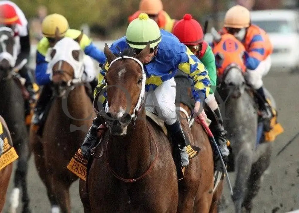 Hilda’s Passion - The Lexus Raven Run Keeneland