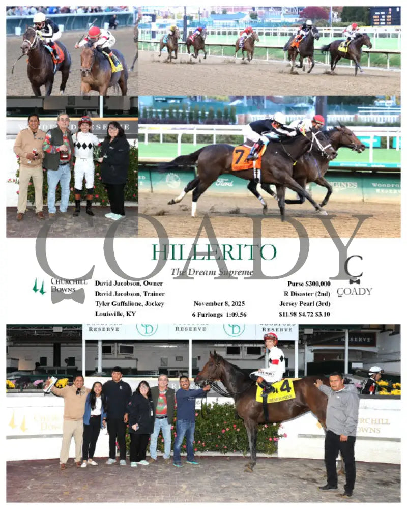 HILLERITO - 110825 - Race 10 - CD Churchill Downs