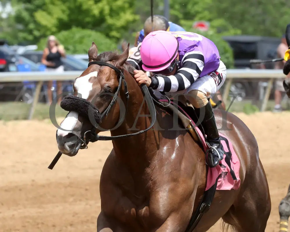 Hip Hooray - Palacios Memorial Stake 06-07-24 R06 Btp Inside Finish 01 Belterra Park