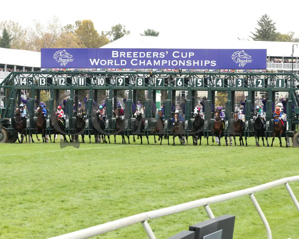 Hit It A Bomb - 103015 Race 06 Kee Start 2 Breeders’ Cup