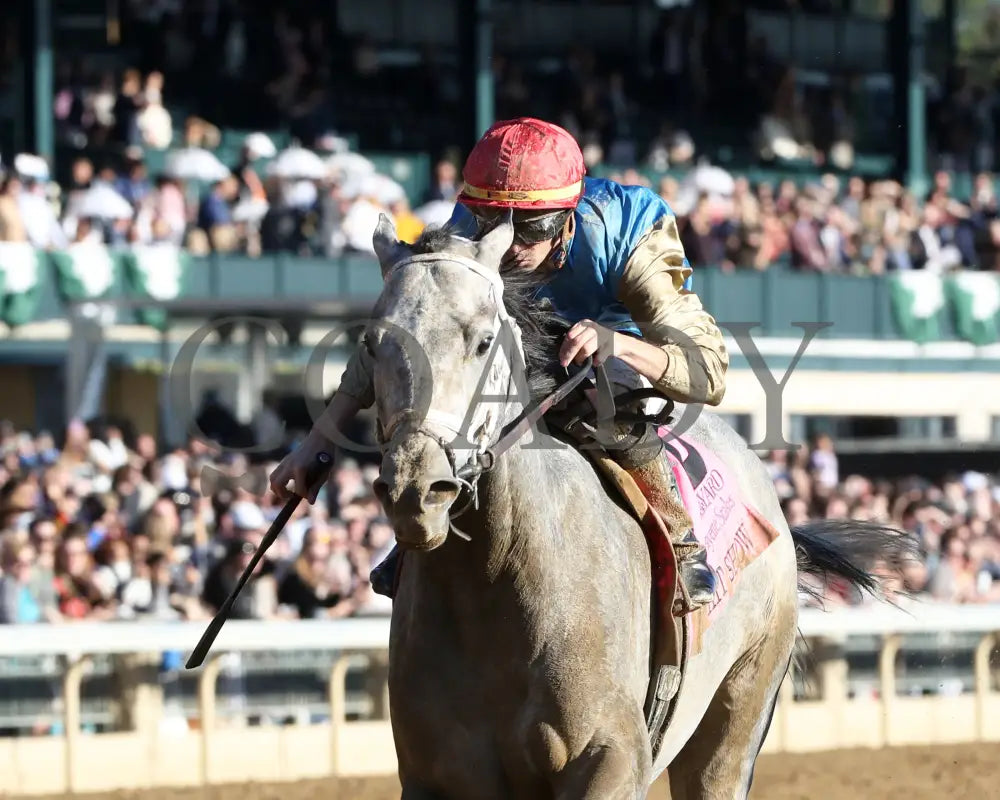 Hit Show - 102624 Race 08 Kee Inside Finish 01 Keeneland